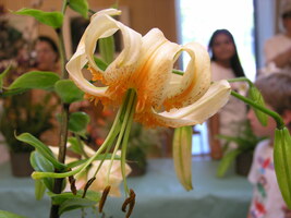 Foto: Dr. Peter Müller